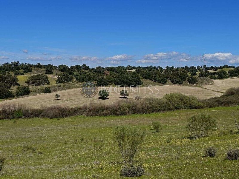 Foto 472e89d5-f36d-4312-9610-9f9a5ae23015. Finca rústica a Villamanta