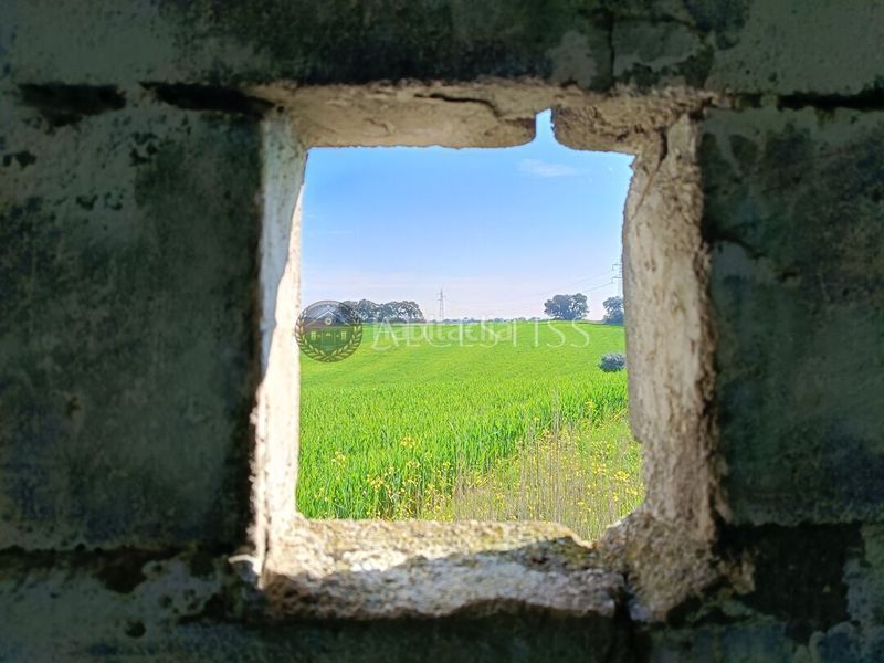 Foto 3a80eeaf-d71f-495d-a869-9eeb6132f2e5. Finca rústica a Méntrida