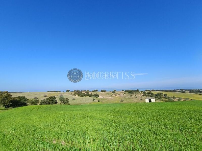 Foto 456e1d71-113b-4080-94e5-56a587d435cd. Finca rústica a Méntrida