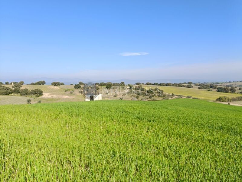 Foto 485b9eb6-37c4-453f-a534-b7de16f7ff57. Finca rústica a Méntrida