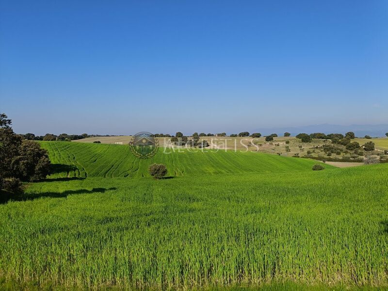 Foto 65d73605-dbb6-4c5e-9173-e44d4e986c07. Finca rústica a Méntrida