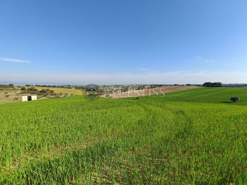 Foto 76da8f3e-41d3-4e05-87db-d642b53ebca2. Finca rústica a Méntrida