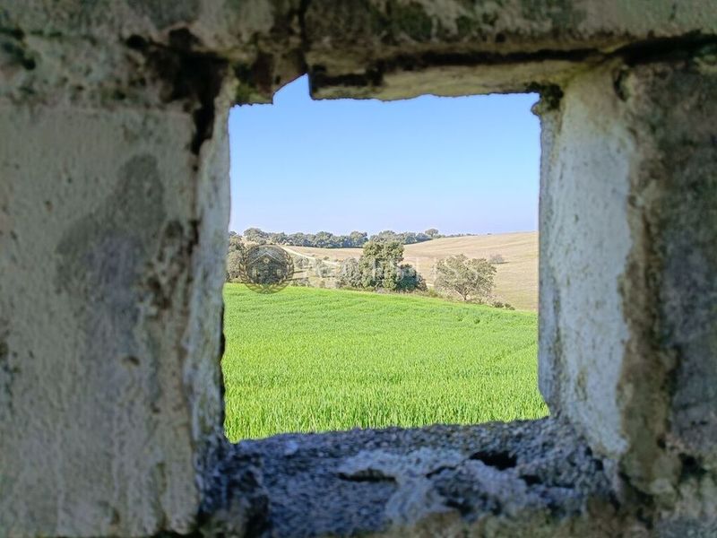 Foto 7b36d61d-e768-4ca8-90c2-6e204c75faed. Finca rústica a Méntrida