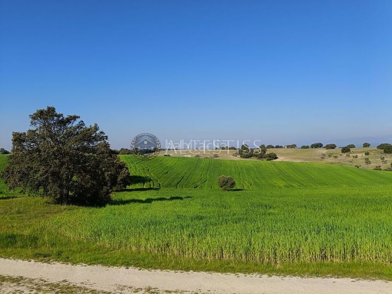 Foto 9d6661ae-f24f-480c-bd63-153fa39a40ca. Finca rústica a Méntrida