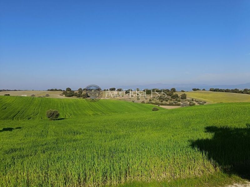 Foto be5cab26-2fbf-4817-9fee-7428431996de. Finca rústica a Méntrida