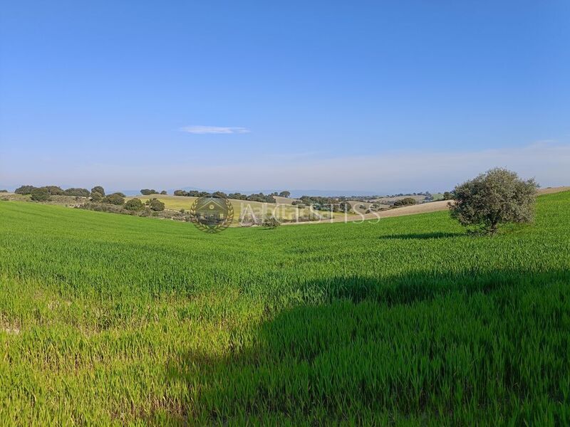 Foto f9e61257-2da3-4d4d-a848-5644f8c240ac. Finca rústica a Méntrida