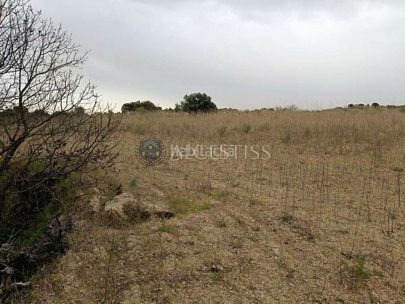 Foto 58f5e9fa-e6ea-40d3-a946-2b246a8952d2. Finca rústica a Aldea del Fresno