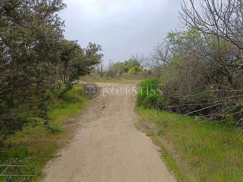 Foto 8fbca89f-2623-4fc6-ae3f-799d07c08bd2. Finca rústica a Aldea del Fresno