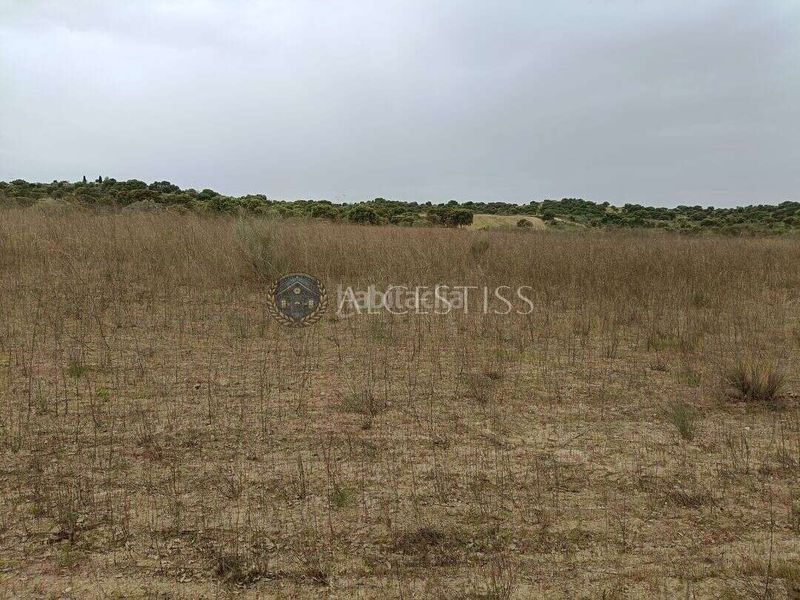Foto aeed4b04-857c-4d7f-be88-5a046d664b1d. Finca rústica a Aldea del Fresno