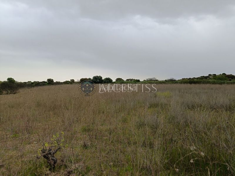 Foto ba310062-a060-419d-a254-d2ddcd57da10. Finca rústica a Aldea del Fresno