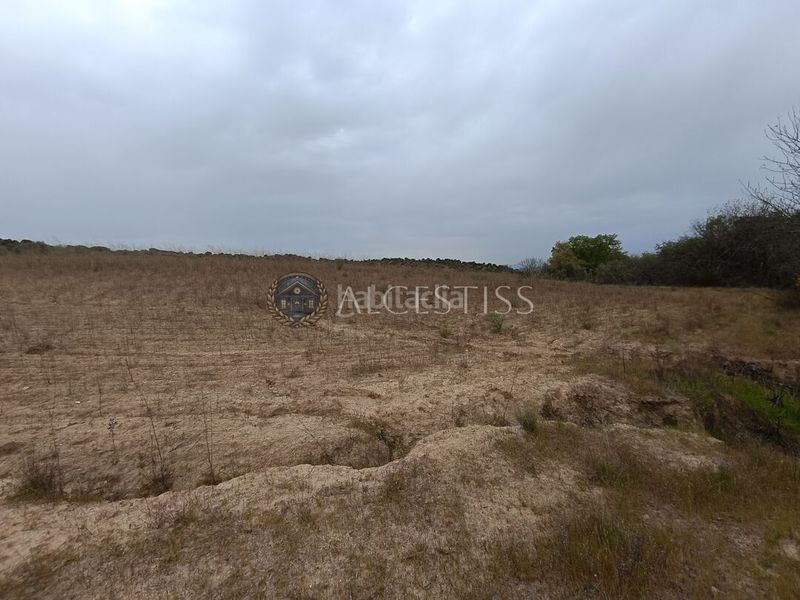 Foto c3e59ad6-9a33-403c-adbc-d67b53bc5da8. Finca rústica a Aldea del Fresno