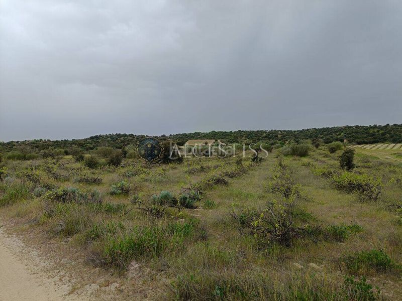 Foto acd52bad-9802-4a45-a269-7df49c74e195. Finca rústica a Aldea del Fresno