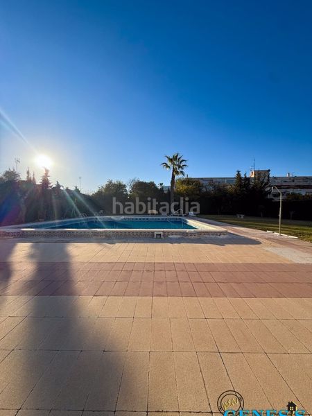 Foto 125c2e1c-cdbf-4f70-b277-d2526aae98d1. Pis a polígono Punta Prima Torrevieja 50 a Punta Prima Torrevieja