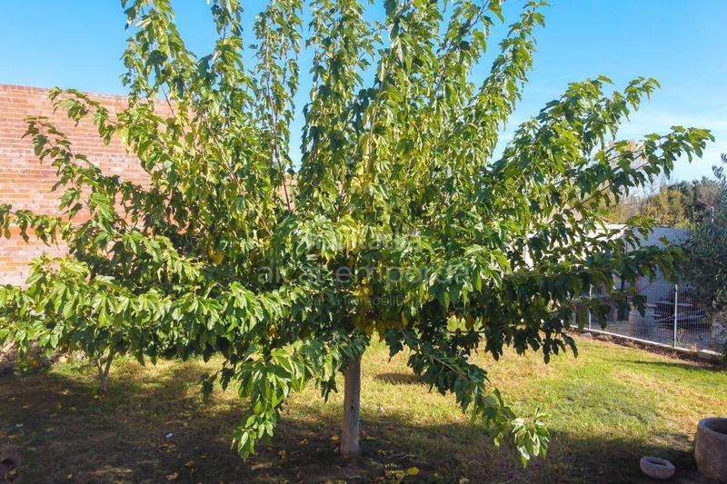 Foto 816e5a77-67cb-48bd-98c3-adec9eb7a867. Xalet a vilafant 15 a Santa Llogaia d´Àlguema