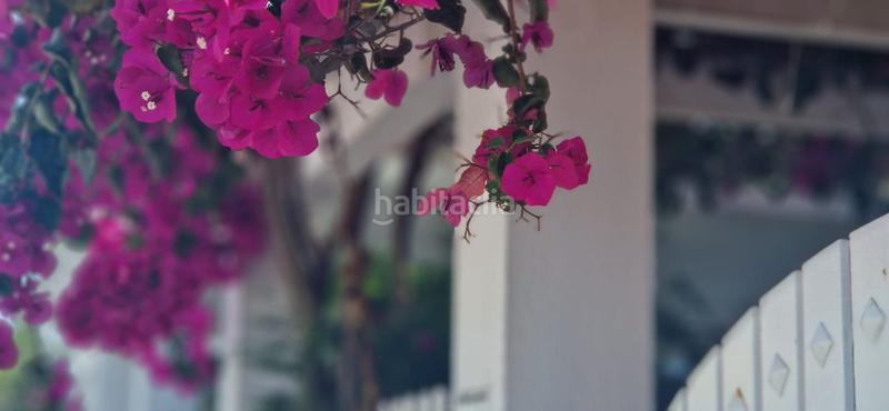 Foto e4f93ec3-7487-45f3-a999-d4cc8d7acb49. Rent semi detached house with heating pool in El Rompido