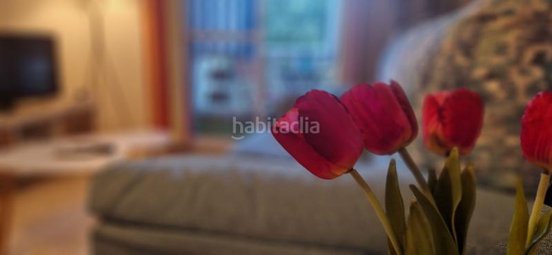Foto 0f8ecb98-c09c-4d10-bf40-9582071d8332. Affitto piccolo appartamento in El Portil