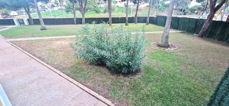 Foto 7eded27d-4097-4b4f-8a5d-fc01d24e083d. Pis amb calefacció piscina a El Portil