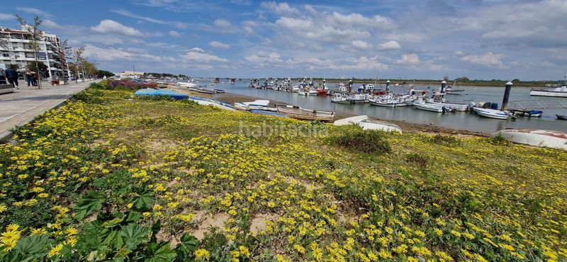 Foto 3f09042f-c381-4485-aba0-7bdc8853a957. Lloguer pis amb calefacció a Punta Umbría