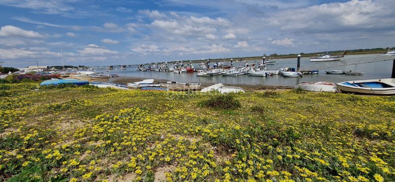 Foto 41c50951-a015-4f36-8d26-aab991b75e5e. Lloguer pis amb calefacció a Punta Umbría