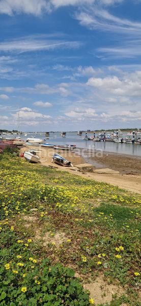 Foto ccc50d9d-cda2-4b4c-b764-14522e16def6. Lloguer pis amb calefacció a Punta Umbría