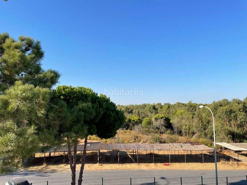 Foto ec9cbbbc-8758-4509-b15b-3541df84a40a. Apartament amb calefacció piscina a El Rompido