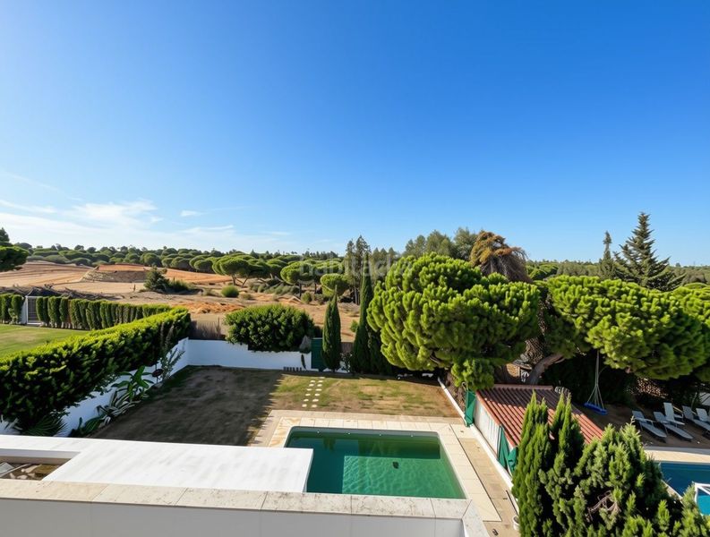 Foto 51857d0e-55cf-4112-9da1-3b22b39884fd. Casa amb piscina a El Rompido
