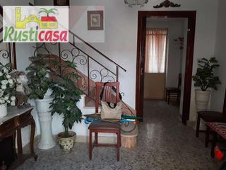 Duplex  Concepcion. Dúplex en las palmeras.