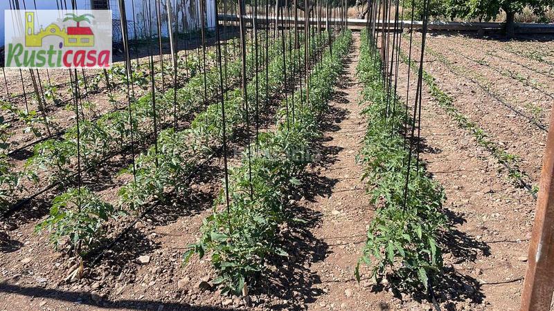 Foto 9a4bf835-febe-4cf0-9bdb-2c5c3a51e08e. Landgut in San Gonzalo Linares