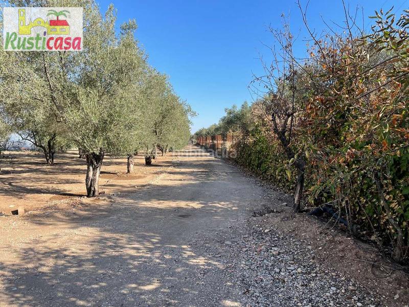 Foto e0c81c06-7eec-44aa-a977-b40d570d6f48. Landgut in San Gonzalo Linares