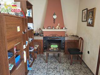 Casa  Peru. Casa en las palmeras.