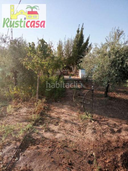 Foto 995d3e80-ea17-4aa7-9cec-abd1cdceca75. Finca rústica olivar de riego. en Guarromán
