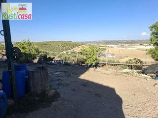 Finca rústica en Bailén. Parcela en cerro san cristóbal.
