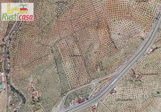 Finca rústica  A4. Olivar tradicional