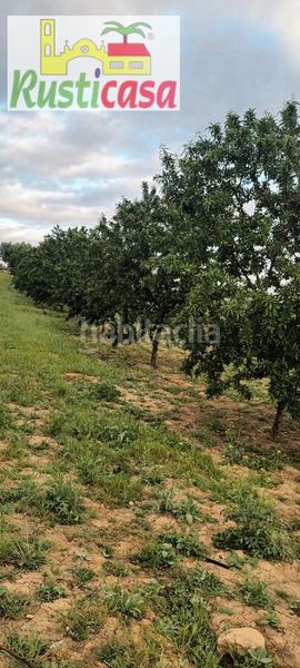 Foto 0153ae3a-4407-4c65-a031-c13511385143. Finca rústica a sevilleja a Bailén