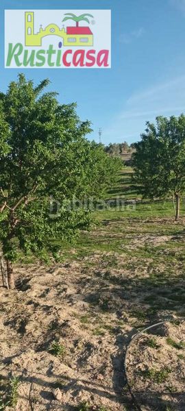 Foto 0f2c449a-b01c-4c39-909e-1ce22337e8aa. Finca rústica a sevilleja a Bailén