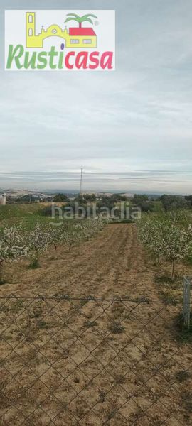 Foto 2c9c620f-6231-4c42-abf7-6aff958b2680. Finca rústica a sevilleja a Bailén