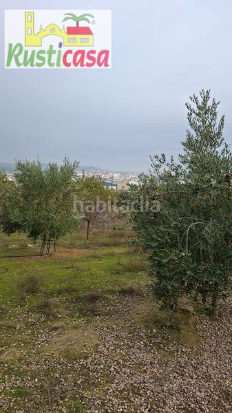Foto 5fb2042f-464c-4825-b61c-285113584792. Finca rústica a sevilleja a Bailén