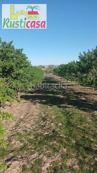 Foto 78f5742d-3b26-491d-8b10-6c979bc431f3. Finca rústica a sevilleja a Bailén