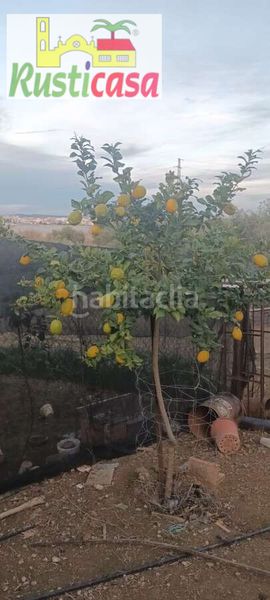 Foto ab8b8d0e-9fa6-4c8d-bcbe-0fa384d6293b. Finca rústica a sevilleja a Bailén