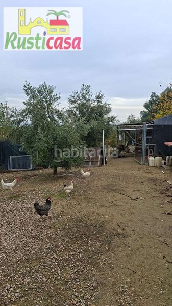 Foto b334c030-6da2-4cf5-9047-10bf278ea613. Finca rústica a sevilleja a Bailén