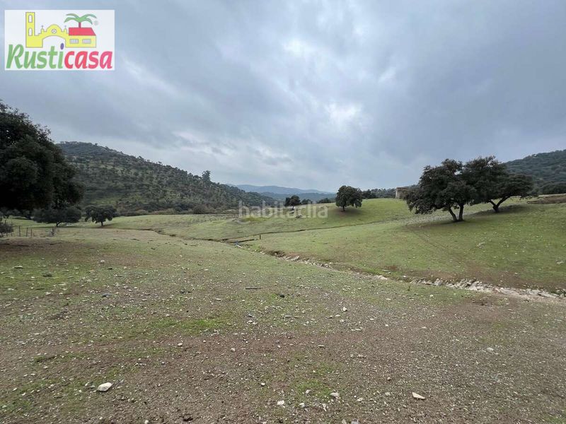 Foto 0fc31043-28f5-43e5-a1cc-b8529b6eb968. Finca rústica a almadanejos a Carolina (La)