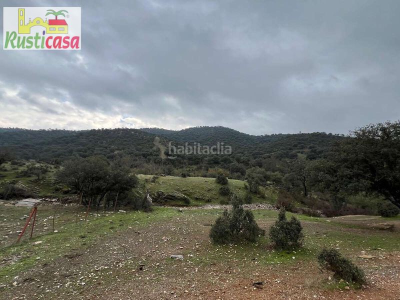Foto b74633a0-e364-49a8-af09-439c5a867bd0. Finca rústica a almadanejos a Carolina (La)