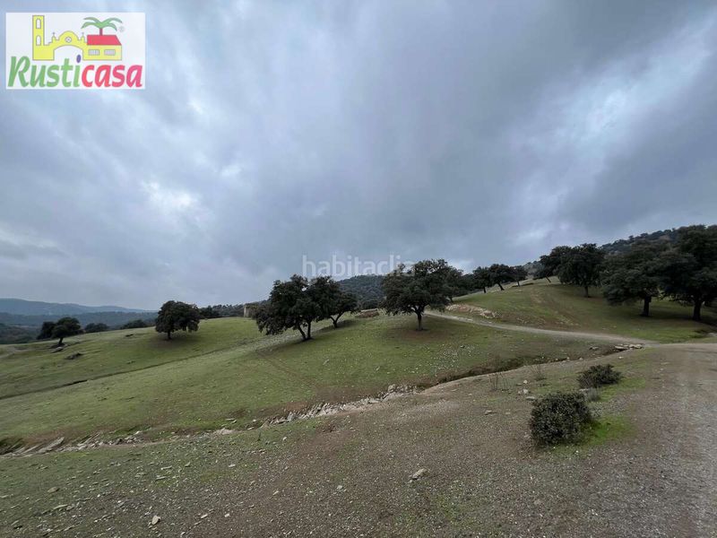 Foto f77673c9-4d51-4cf6-8812-f65c26a880b1. Finca rústica a almadanejos a Carolina (La)