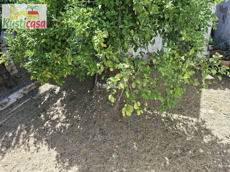 Foto fe759bc8-f129-4e60-8455-2d010013669e. Casa amb aparcament piscina a Bailén