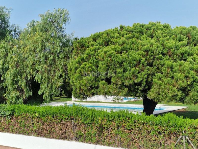 Foto ed5b827f-5a75-482f-bbac-0d676b1565f2. Casa adossada amb aparcament piscina a Caño Guerrero Almonte