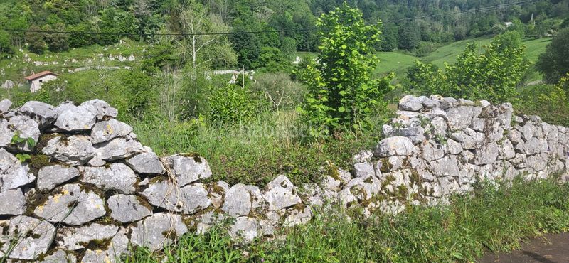 Foto 217a3125-9326-4749-8749-0289c862d05a. Edificio en lugar puertas 1 en Cabrales