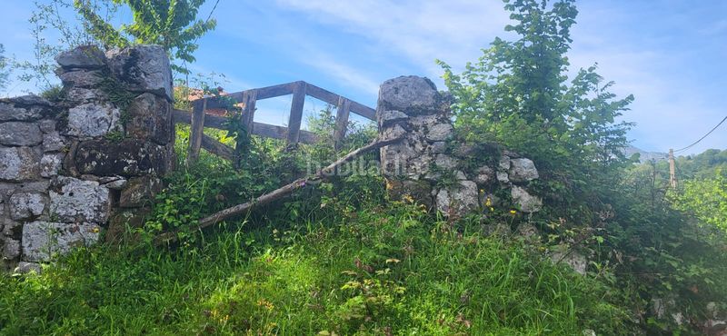 Foto cfe399d6-a9fc-4e09-870b-480bdef1d83b. Edificio en lugar puertas 1 en Cabrales