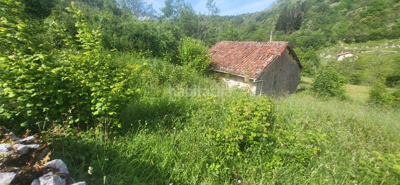 Foto f7967bcb-763e-4baf-8e71-62ca739cfee5. Edificio en lugar puertas 1 en Cabrales