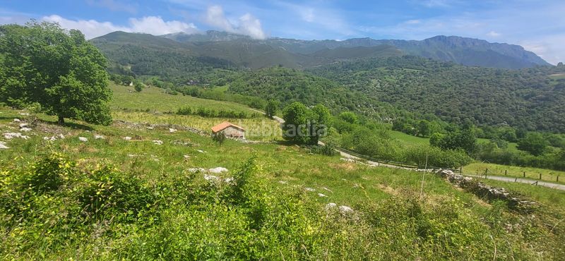 Foto f9dfb694-d42b-475c-b63b-6759487aebcf. Finca rústica a n/a a Cabrales