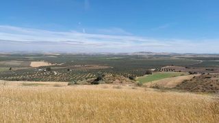 Finca rústica en Paseo de Extremadura